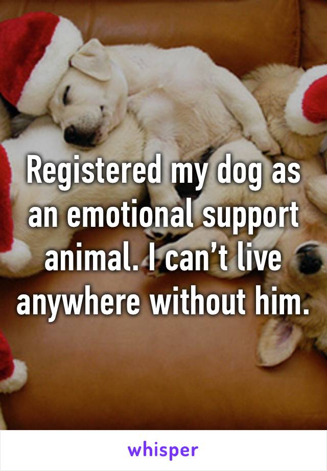 Registered my dog as an emotional support animal. I can’t live anywhere without him. 