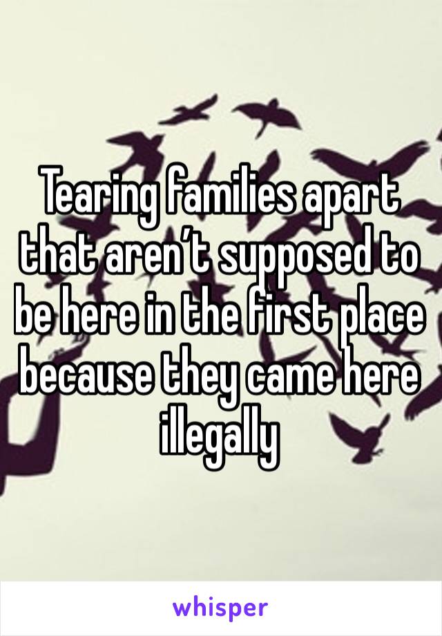 Tearing families apart that aren’t supposed to be here in the first place because they came here illegally 