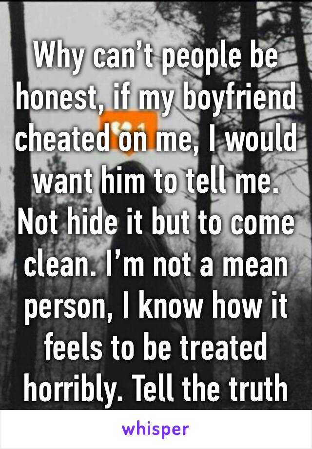 Why can’t people be honest, if my boyfriend cheated on me, I would want him to tell me. Not hide it but to come clean. I’m not a mean person, I know how it feels to be treated horribly. Tell the truth