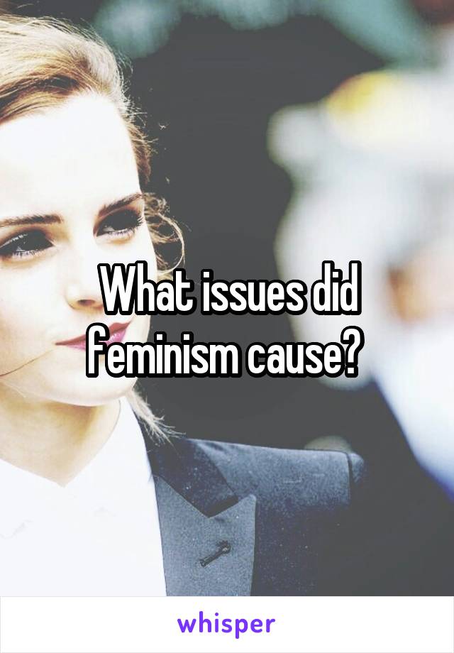 What issues did feminism cause? 