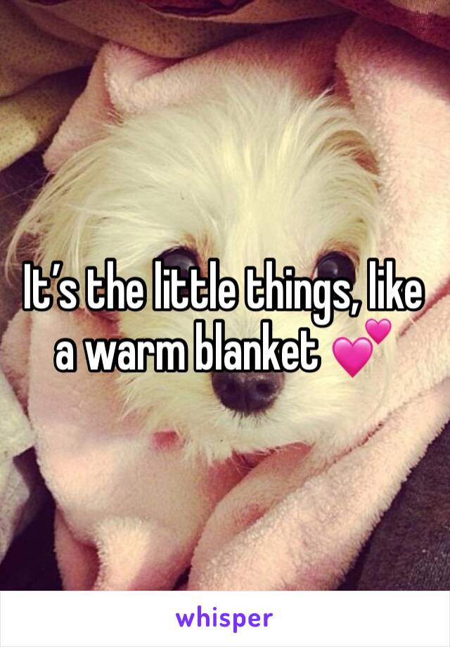 It’s the little things, like a warm blanket 💕