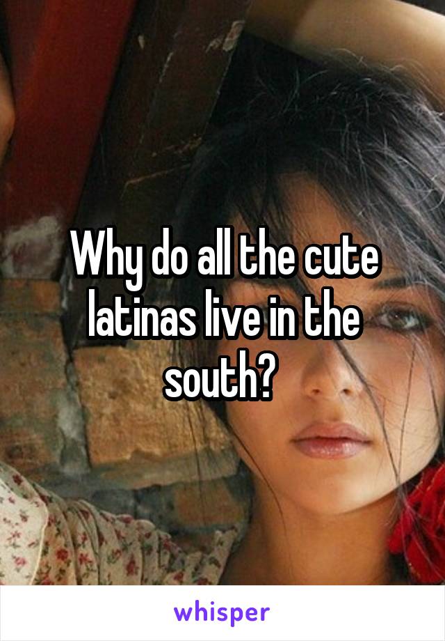 Why do all the cute latinas live in the south? 