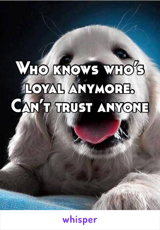 Who knows who’s loyal anymore. Can’t trust anyone 