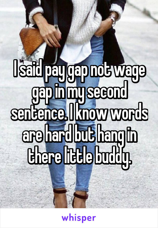 I said pay gap not wage gap in my second sentence. I know words are hard but hang in there little buddy.