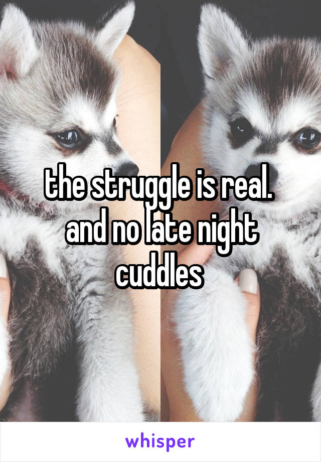 the struggle is real. 
and no late night cuddles 