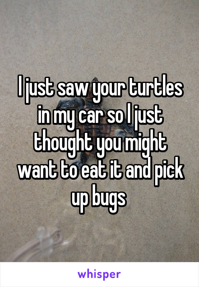 I just saw your turtles in my car so I just thought you might want to eat it and pick up bugs 