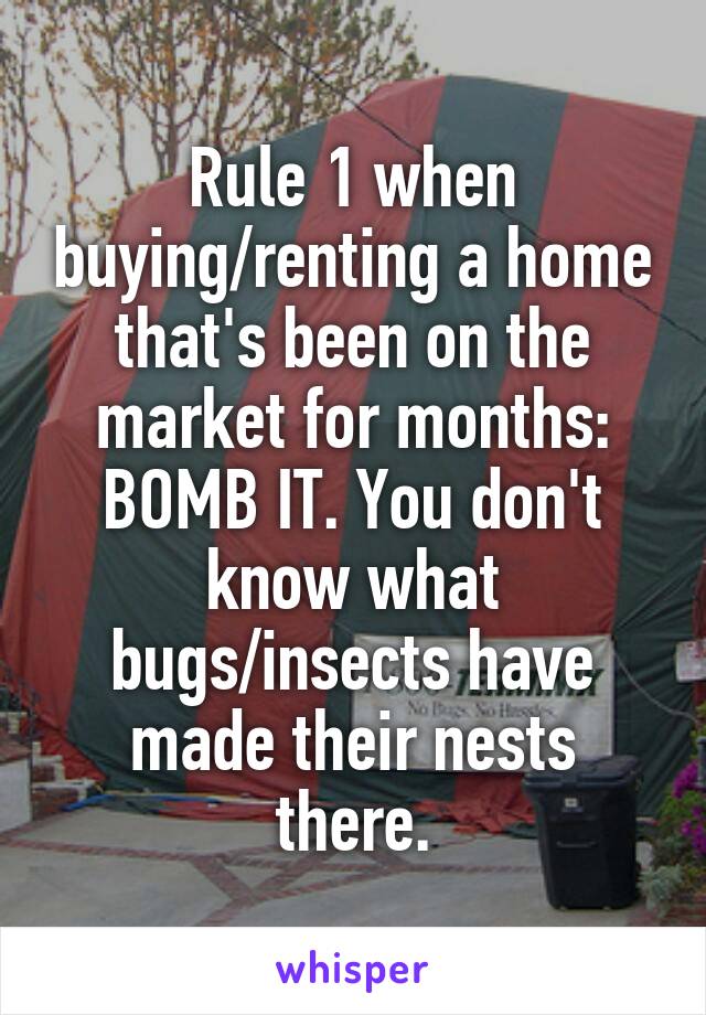 Rule 1 when buying/renting a home that's been on the market for months: BOMB IT. You don't know what bugs/insects have made their nests there.