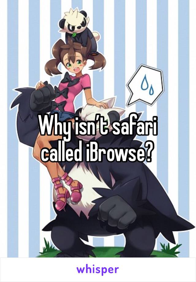 Why isn’t safari called iBrowse?