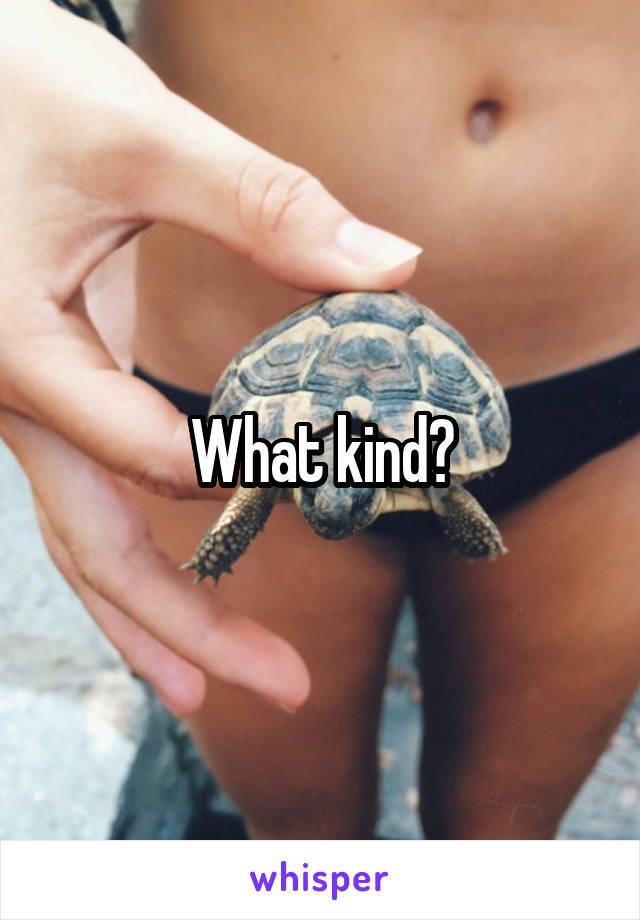 What kind?