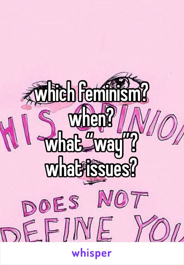 which feminism?
when?
what “way”?
what issues?