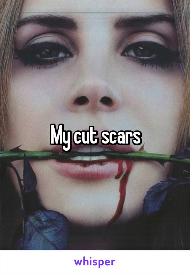 My cut scars