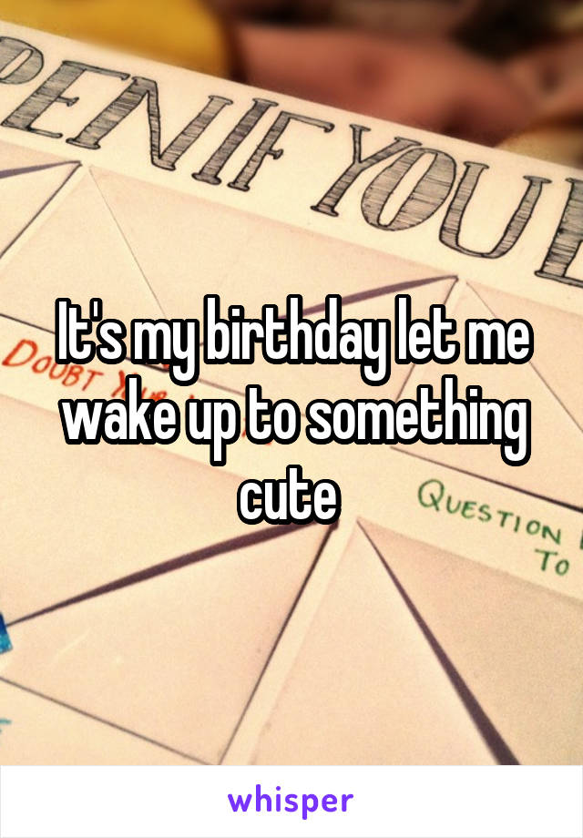 It's my birthday let me wake up to something cute 