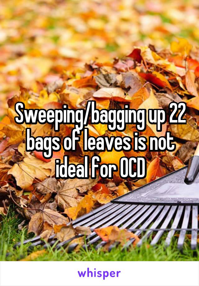 Sweeping/bagging up 22 bags of leaves is not ideal for OCD