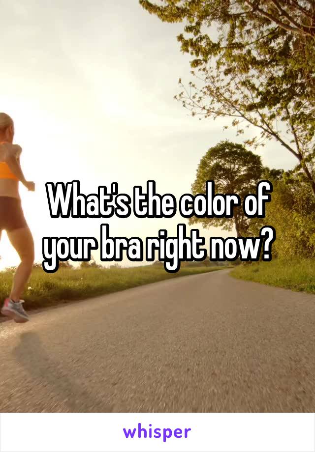 What's the color of your bra right now?