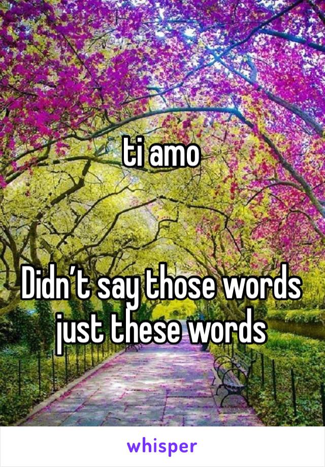 
ti amo


Didn’t say those words just these words