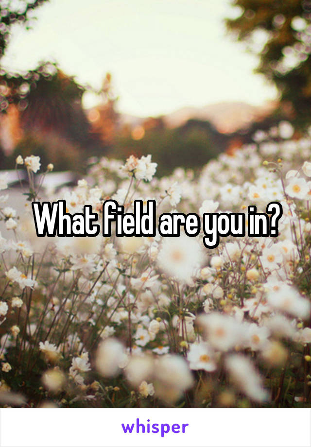 What field are you in?