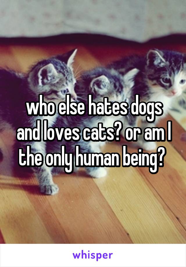 who else hates dogs and loves cats? or am I the only human being? 