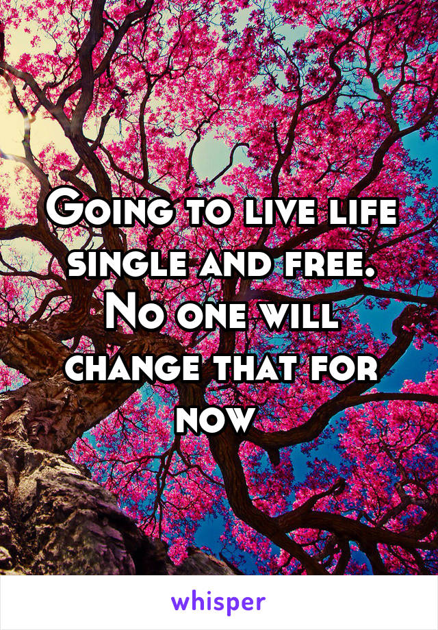 Going to live life single and free. No one will change that for now 