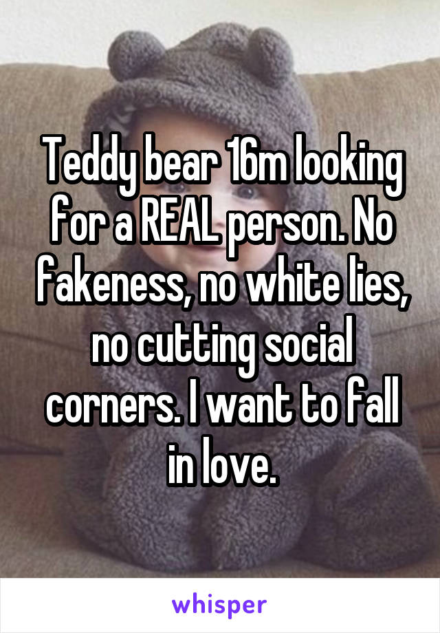 Teddy bear 16m looking for a REAL person. No fakeness, no white lies, no cutting social corners. I want to fall in love.