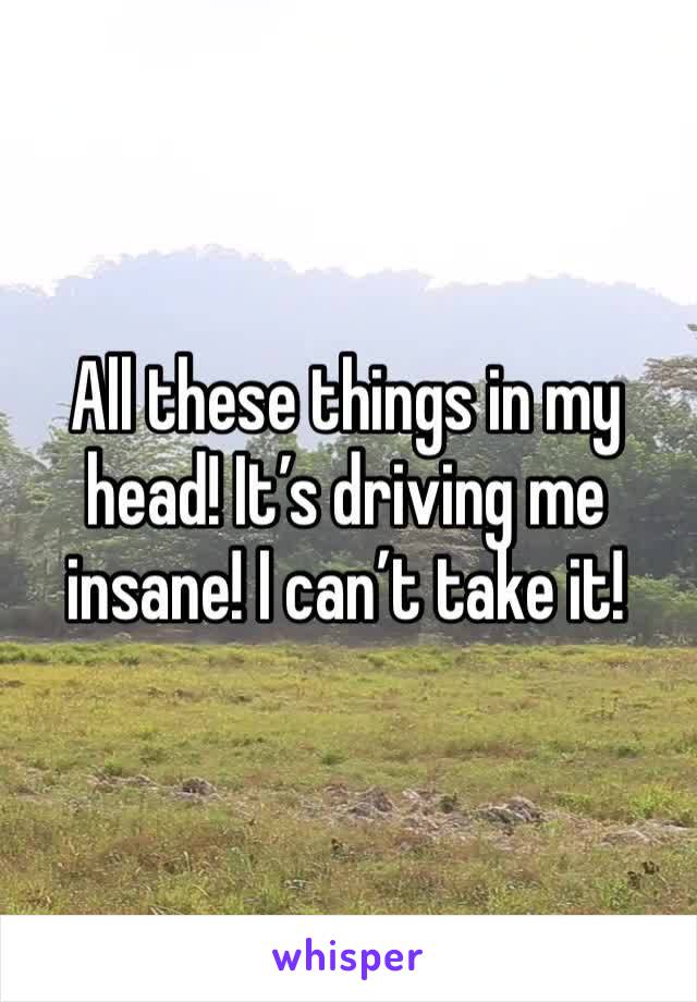 All these things in my head! It’s driving me insane! I can’t take it!