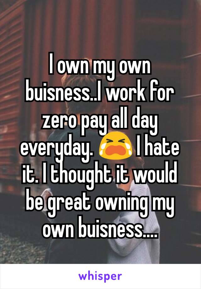 I own my own buisness..I work for zero pay all day everyday. 😭 I hate it. I thought it would be great owning my own buisness....