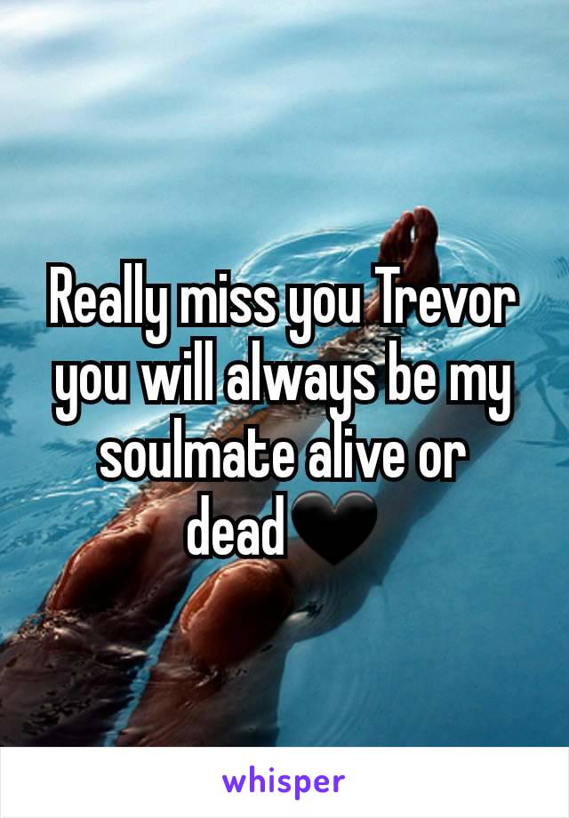 Really miss you Trevor you will always be my soulmate alive or dead🖤