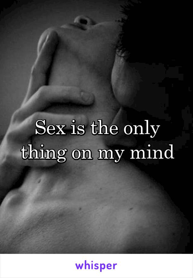 Sex is the only thing on my mind