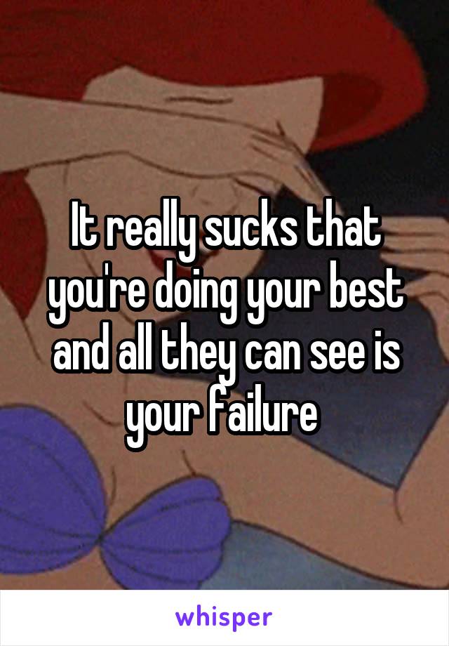 It really sucks that you're doing your best and all they can see is your failure 