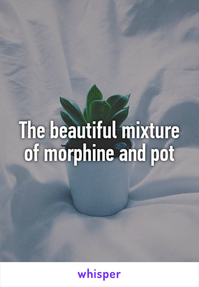 The beautiful mixture of morphine and pot