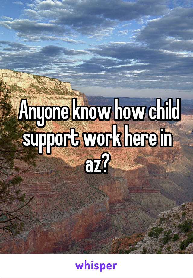  Anyone know how child support work here in az?