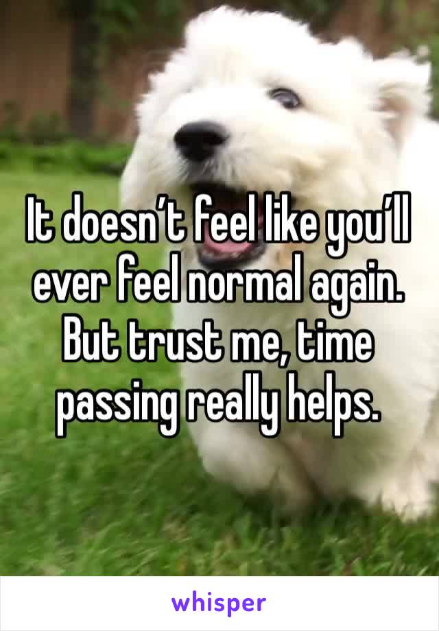 It doesn’t feel like you’ll ever feel normal again. But trust me, time passing really helps. 