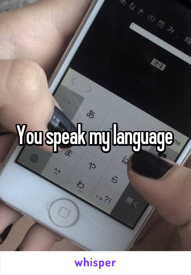 You speak my language 