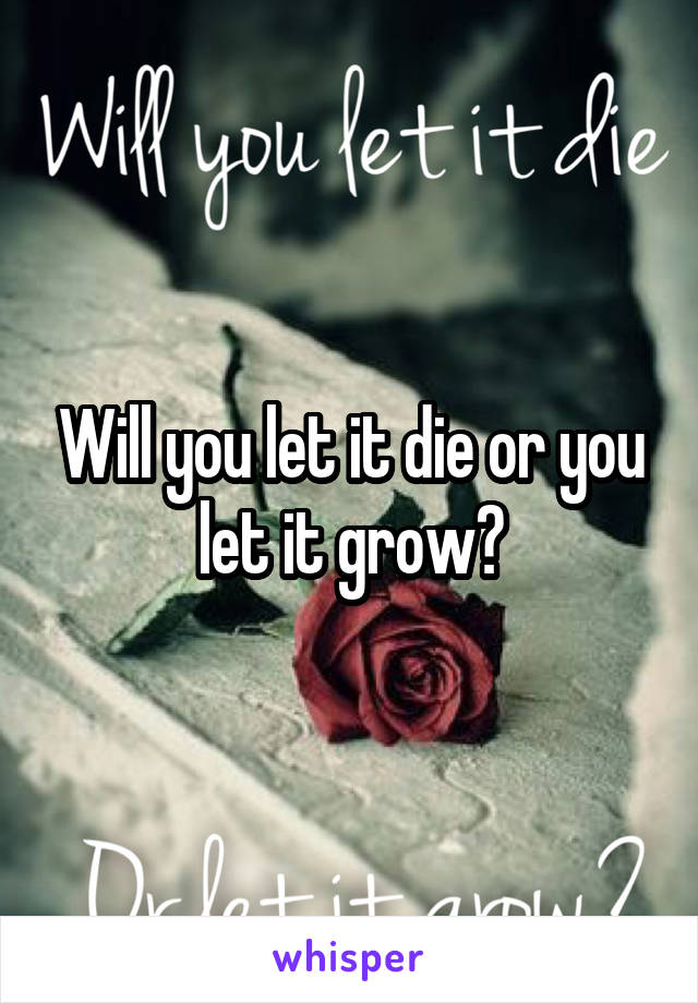 Will you let it die or you let it grow?