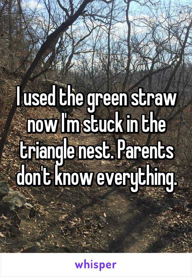 I used the green straw now I'm stuck in the triangle nest. Parents don't know everything.