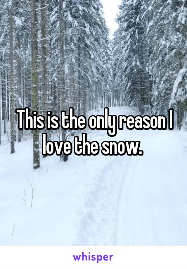 This is the only reason I love the snow. 