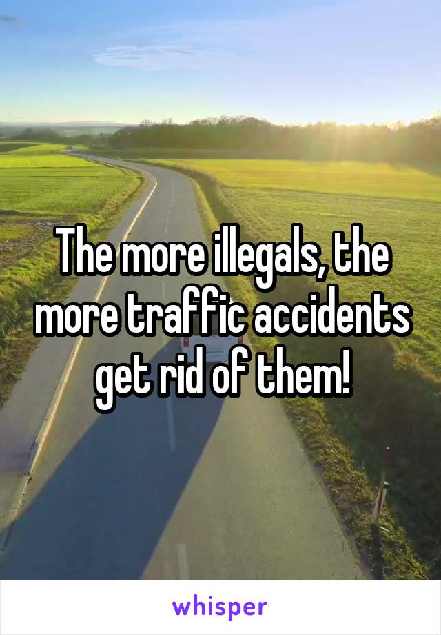 The more illegals, the more traffic accidents get rid of them!