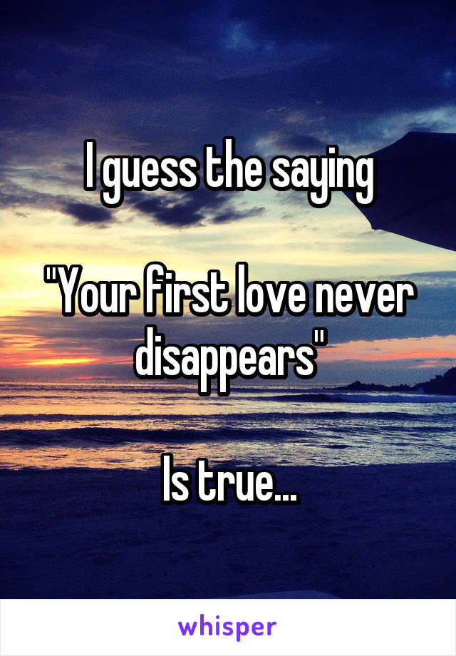 I guess the saying

"Your first love never disappears"

Is true...