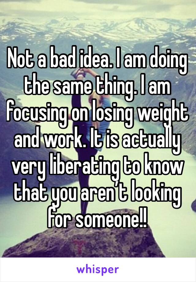 Not a bad idea. I am doing the same thing. I am focusing on losing weight and work. It is actually very liberating to know that you aren’t looking for someone!!