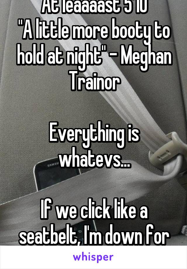 At leaaaast 5'10
"A little more booty to hold at night" - Meghan Trainor

Everything is whatevs...

If we click like a seatbelt, I'm down for the long ride. 