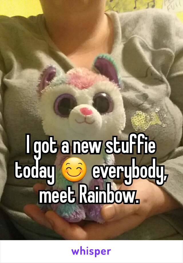 I got a new stuffie today 😊 everybody, meet Rainbow. 