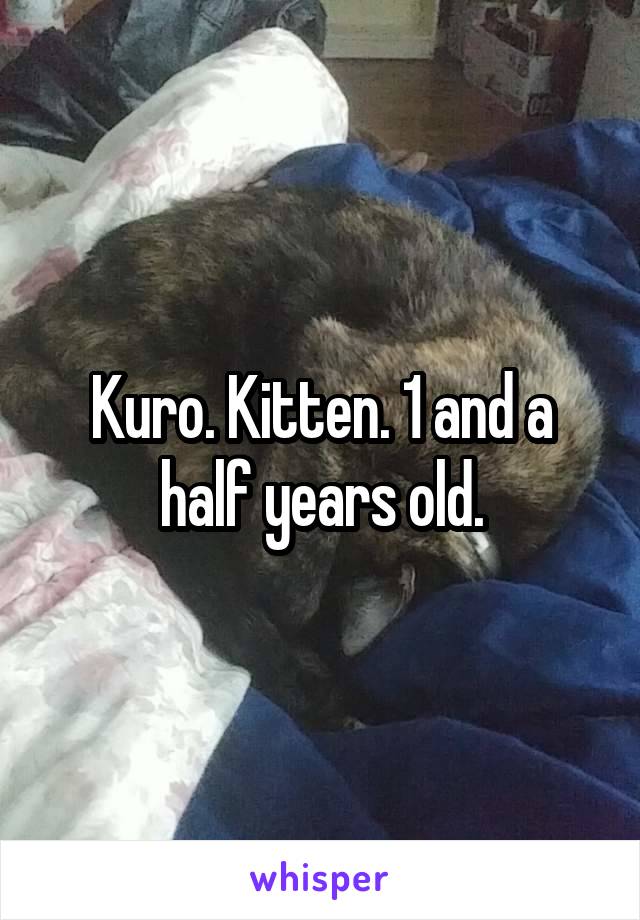 Kuro. Kitten. 1 and a half years old.