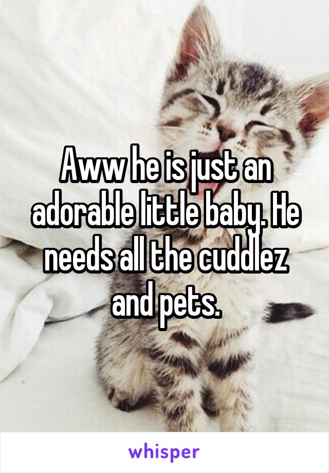 Aww he is just an adorable little baby. He needs all the cuddlez and pets.