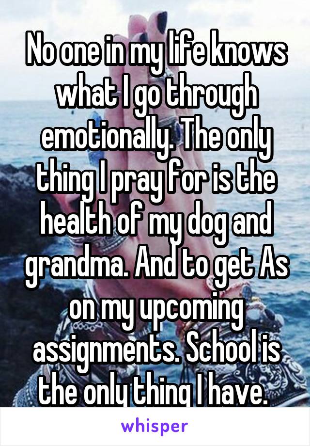 No one in my life knows what I go through emotionally. The only thing I pray for is the health of my dog and grandma. And to get As on my upcoming assignments. School is the only thing I have. 
