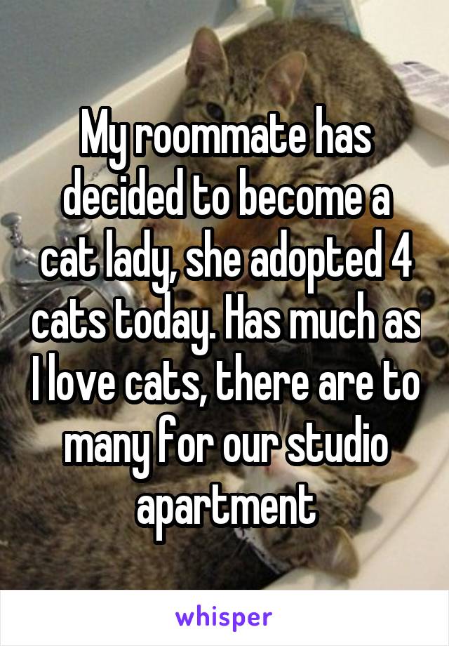 My roommate has decided to become a cat lady, she adopted 4 cats today. Has much as I love cats, there are to many for our studio apartment