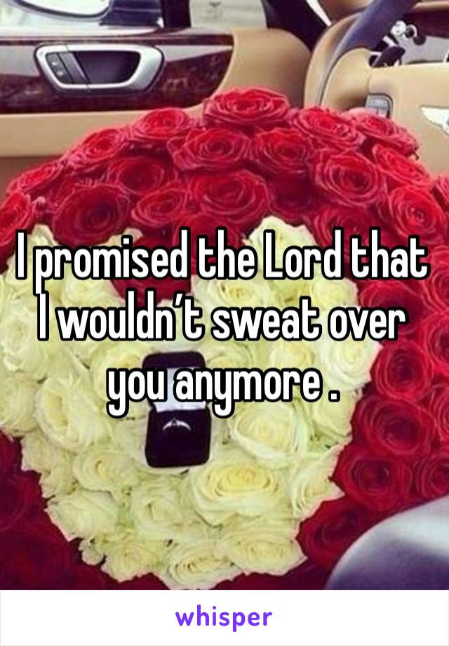 I promised the Lord that I wouldn’t sweat over you anymore . 
