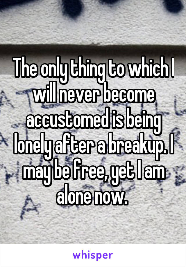 The only thing to which I will never become accustomed is being lonely after a breakup. I may be free, yet I am alone now. 