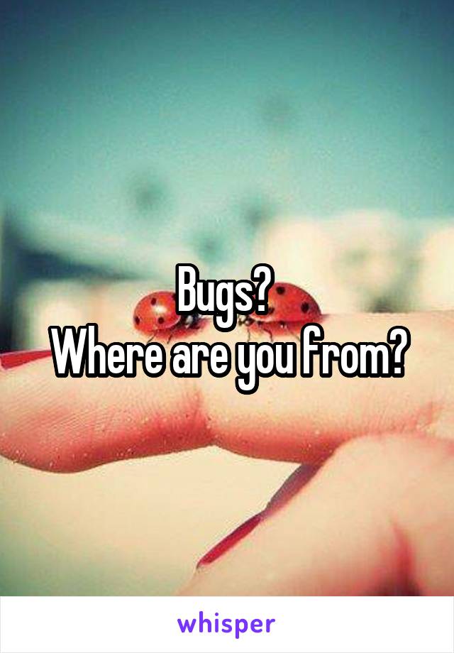 Bugs? 
Where are you from?
