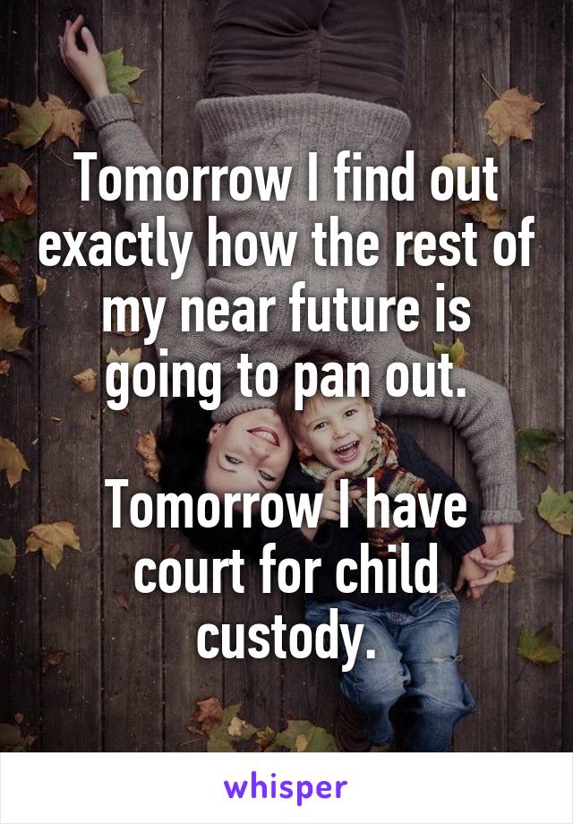 Tomorrow I find out exactly how the rest of my near future is going to pan out.

Tomorrow I have court for child custody.