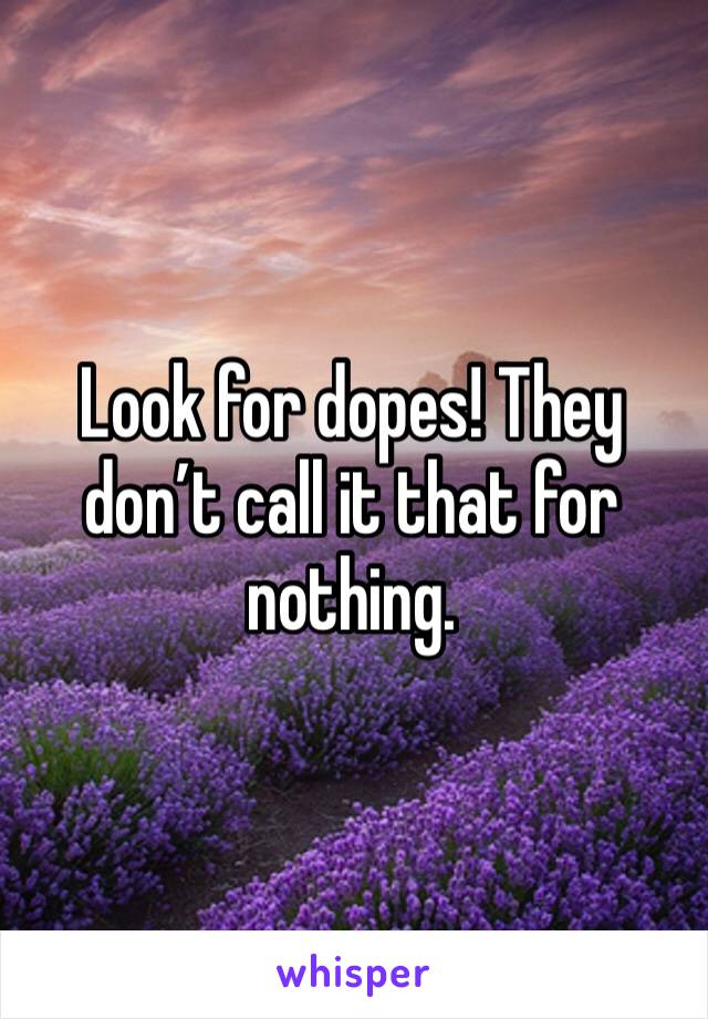 Look for dopes! They don’t call it that for nothing.