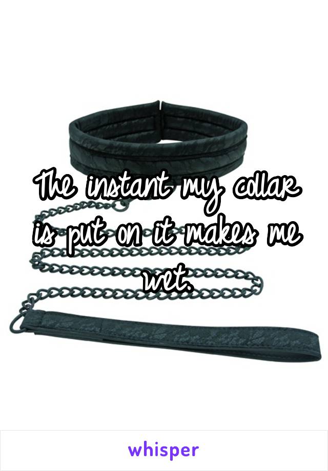 The instant my collar is put on it makes me wet.